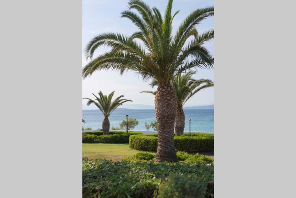 Palmaya Villa, Unique Seafront Experience Vagia  Bagian luar foto