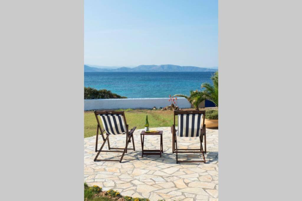 Palmaya Villa, Unique Seafront Experience Vagia  Bagian luar foto