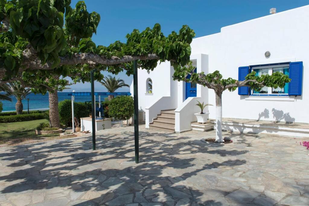 Palmaya Villa, Unique Seafront Experience Vagia  Bagian luar foto