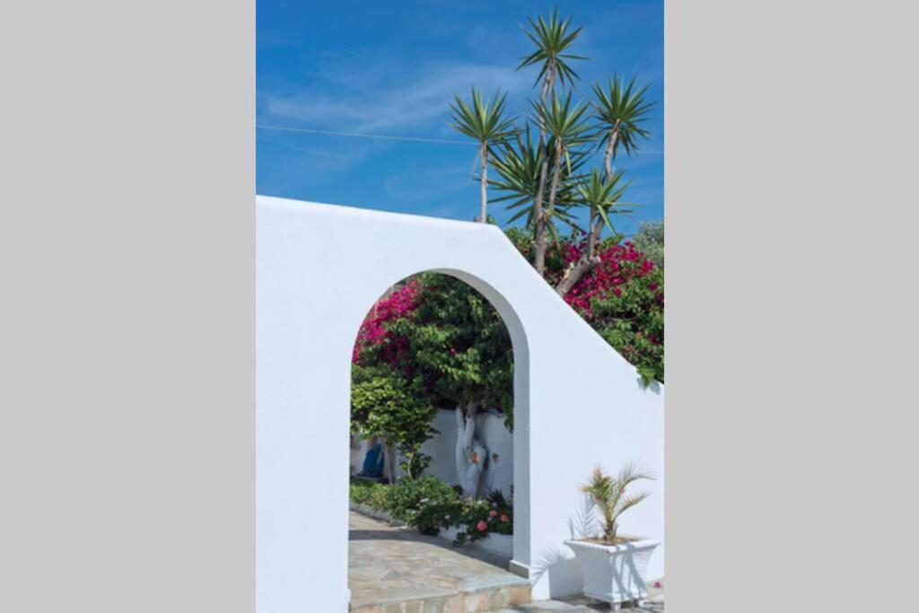 Palmaya Villa, Unique Seafront Experience Vagia  Bagian luar foto