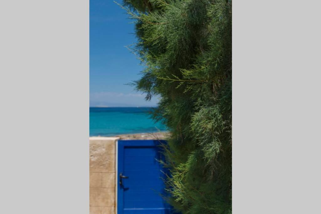 Palmaya Villa, Unique Seafront Experience Vagia  Bagian luar foto