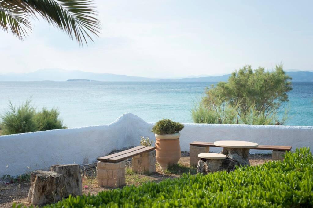 Palmaya Villa, Unique Seafront Experience Vagia  Bagian luar foto